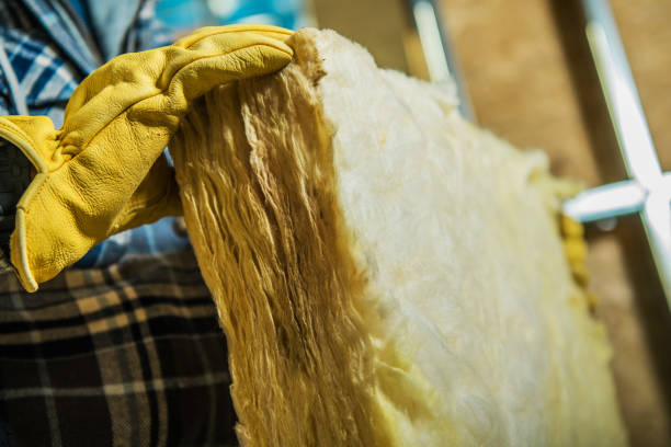 Best Local Insulation Services  in Marion, NC